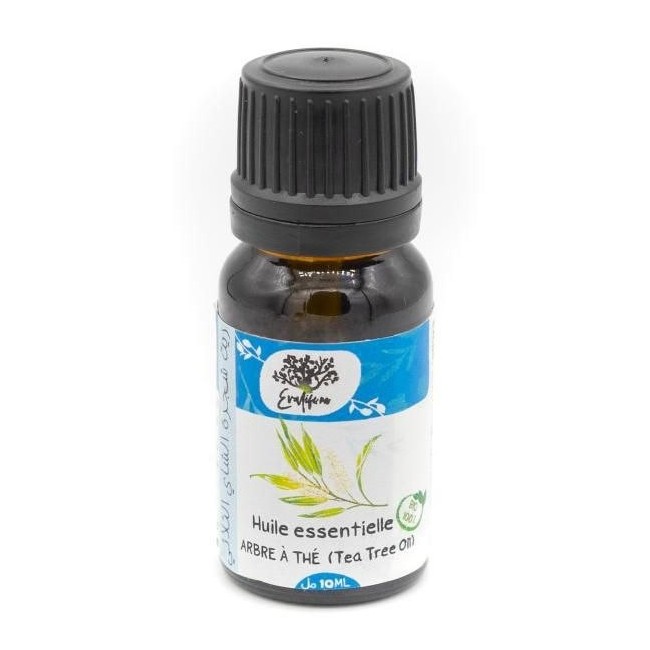Huile Essentielle Arbre À Thé 10ml زيت شجرة الشاي