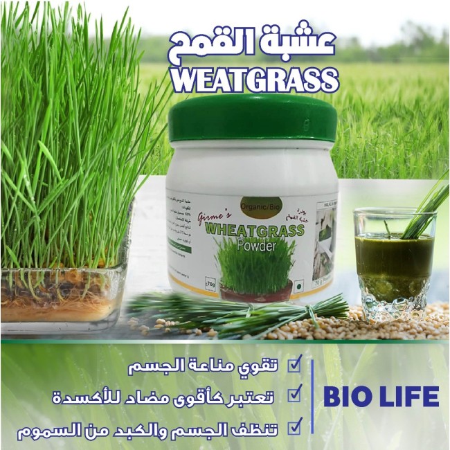 Germe de Blé 70g عشبة القمح الخضراء