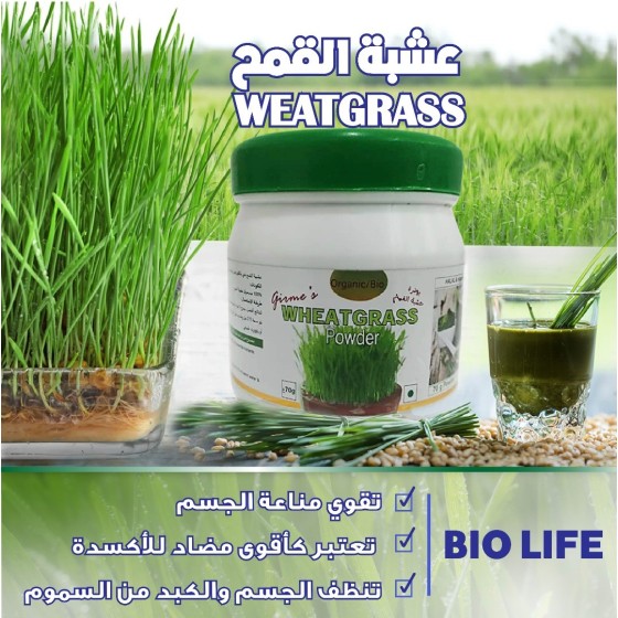 Germe de Blé 70g عشبة القمح الخضراء