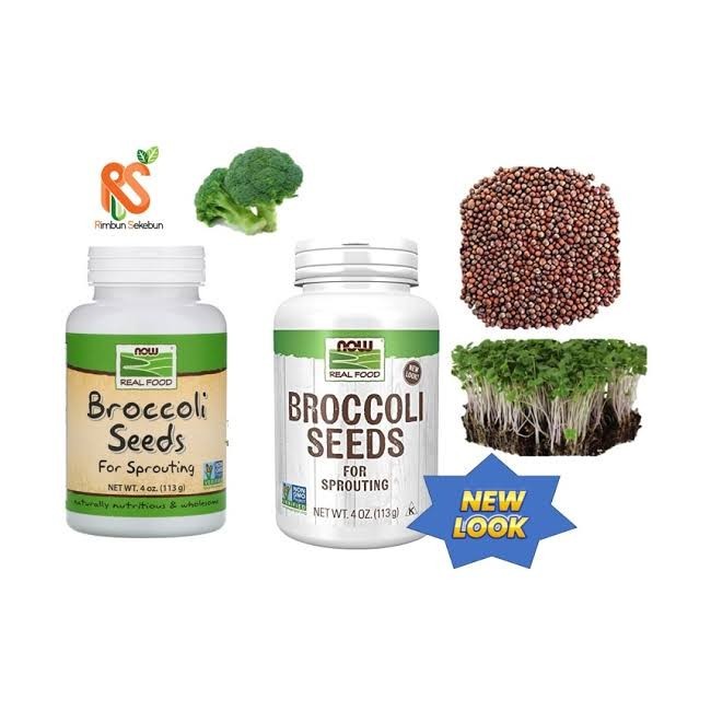 Now Broccoli seeds 113g براعم بروكلي للاستنبات 2