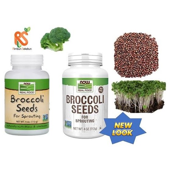 Now Broccoli seeds 113g براعم بروكلي للاستنبات
