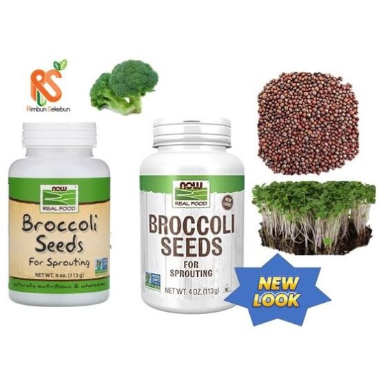Now Broccoli seeds 113g براعم بروكلي للاستنبات